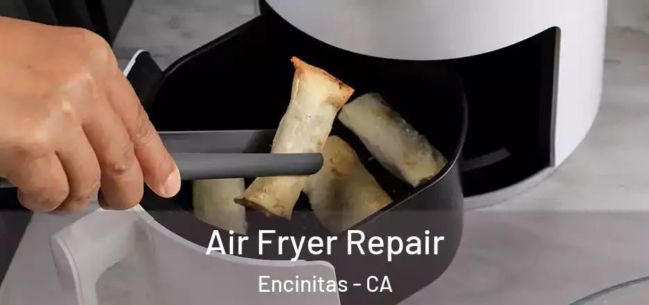 Air Fryer Repair Encinitas - CA