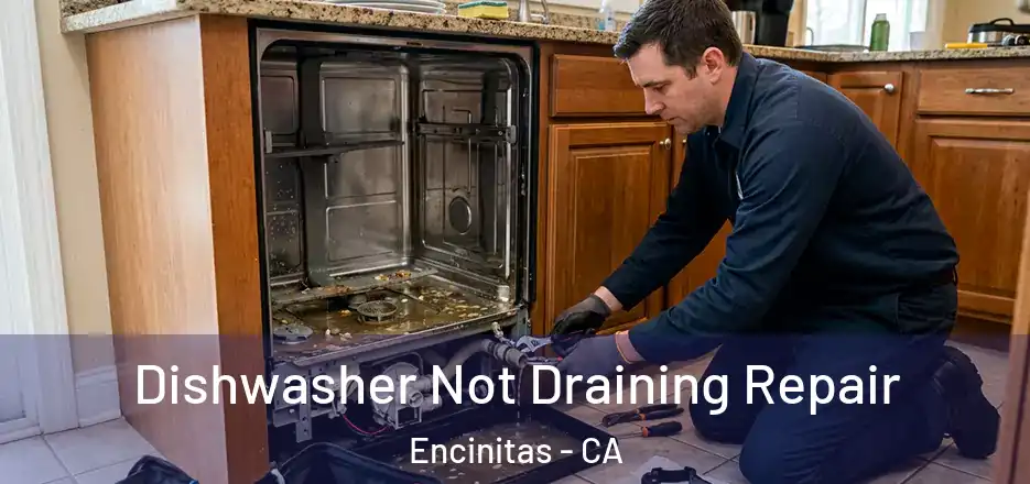 Dishwasher Not Draining Repair Encinitas - CA