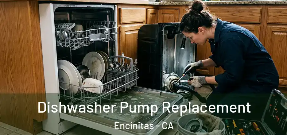 Dishwasher Pump Replacement Encinitas - CA