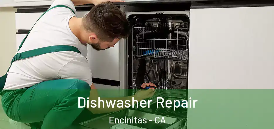  Dishwasher Repair Encinitas - CA