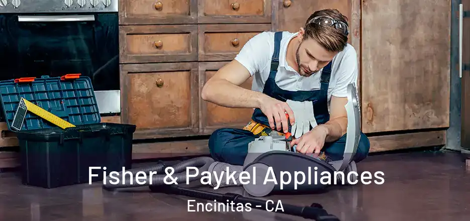 Fisher & Paykel Appliances Encinitas - CA
