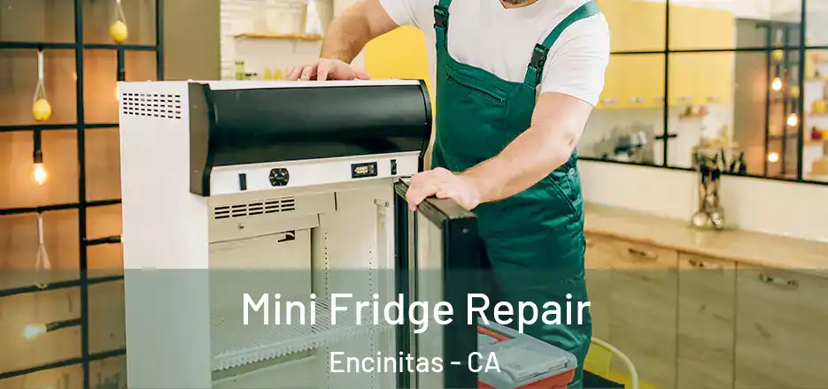  Mini Fridge Repair Encinitas - CA