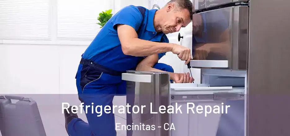  Refrigerator Leak Repair Encinitas - CA