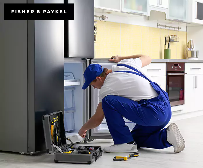Top-Rated Fisher & Paykel Appliance Experts: Your Brand Specialist in Encinitas, CA