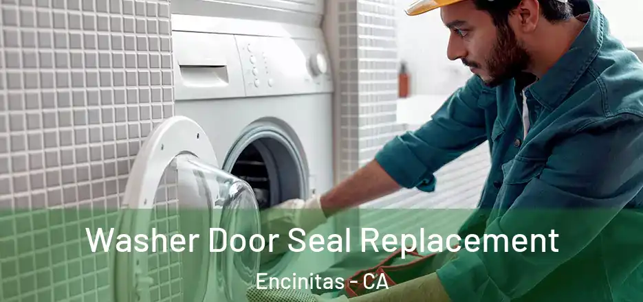 Washer Door Seal Replacement Encinitas - CA